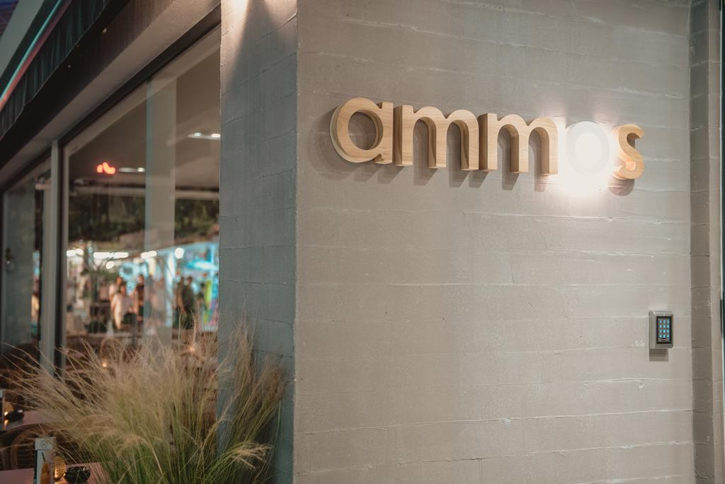 Ammos Beach Seaside Luxury Suites 2/64