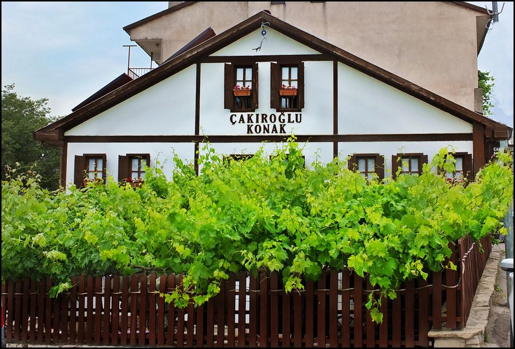Cakiroglu Konak 2/54
