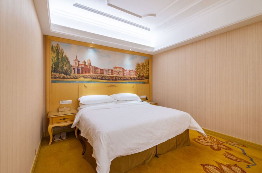 Vienna International Hotel (Changsha Xiangfu Road) 17/46