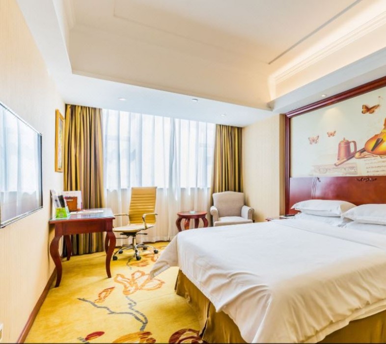 Vienna Hotel (Zhongshan Guzhen Lighting Expo Center) 18/60