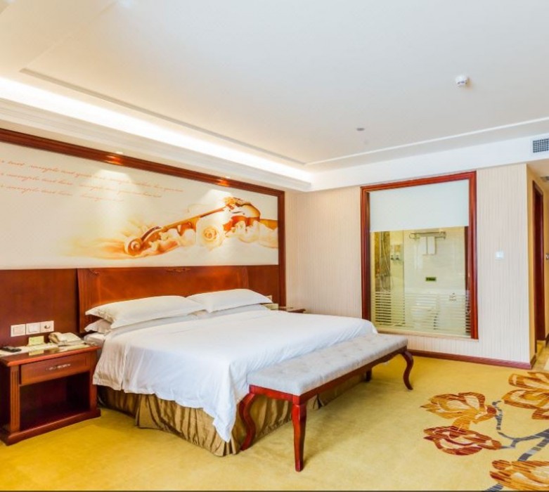 Vienna Hotel (Zhongshan Guzhen Lighting Expo Center) 17/60