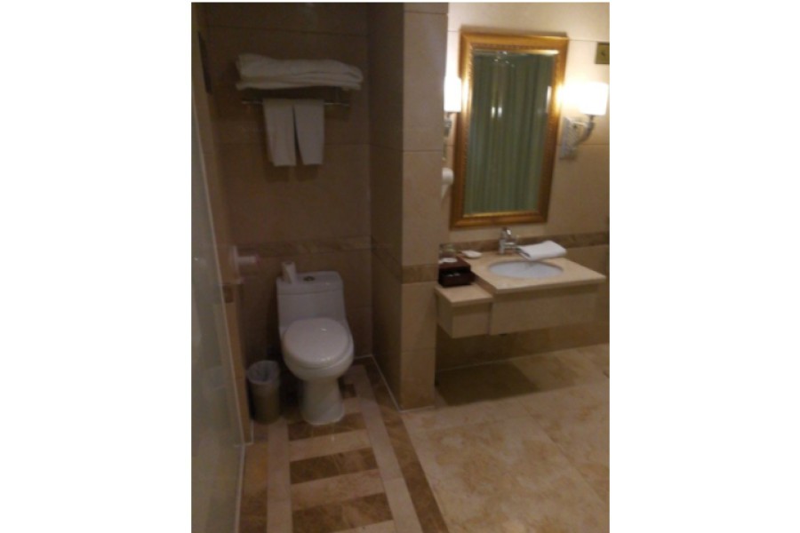 Regency Hotel 33/56