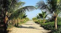 Beach Hotel Cambury 21/60