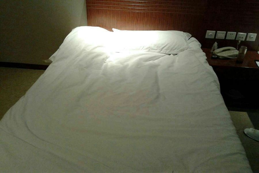 Nanjing Expo Centre Hotel 32/49