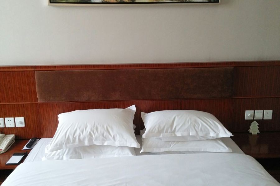 Nanjing Expo Centre Hotel 31/49
