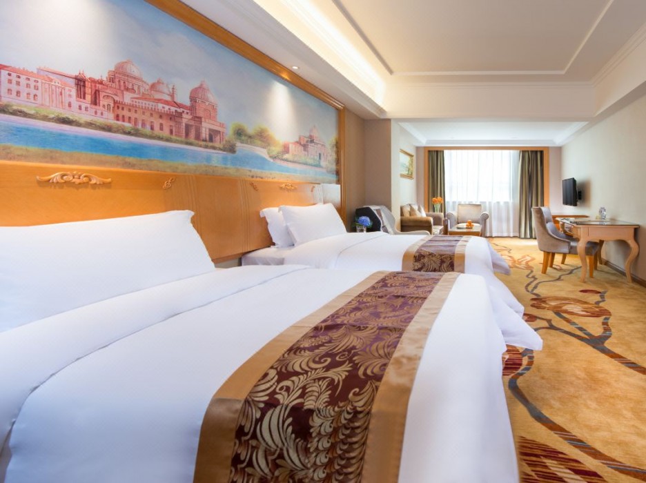 Vienna International Hotel (Shenzhen Buji Dafen Metro Station) 13/41