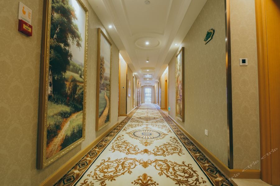 Vienna International Hotel (Shenzhen Longgang Ti'an Digital Park) 19/19