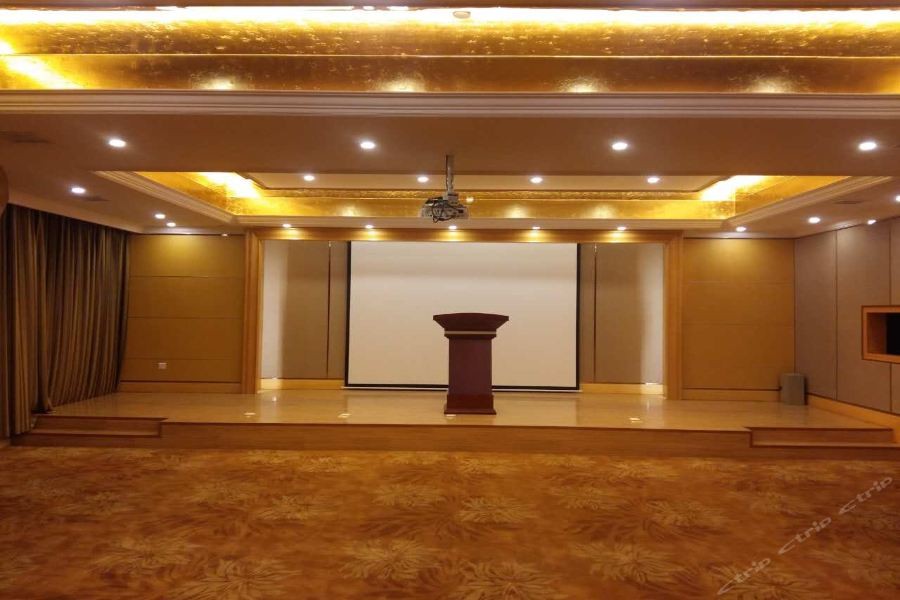 Vienna International Hotel (Shenzhen Longgang Ti'an Digital Park) photo3