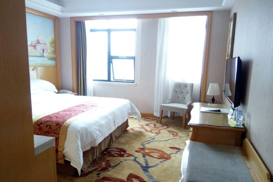 Vienna International Hotel (Shenzhen Longgang Ti'an Digital Park) 8/19