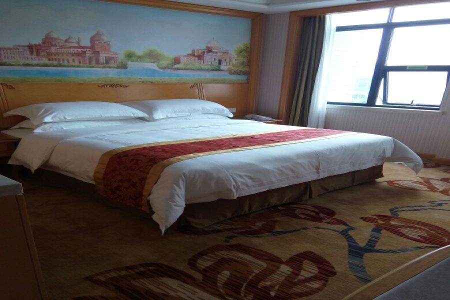 Vienna International Hotel (Shenzhen Longgang Ti'an Digital Park) 13/19