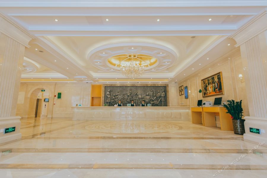 Vienna International Hotel (Shenzhen Longgang Ti'an Digital Park) 16/19