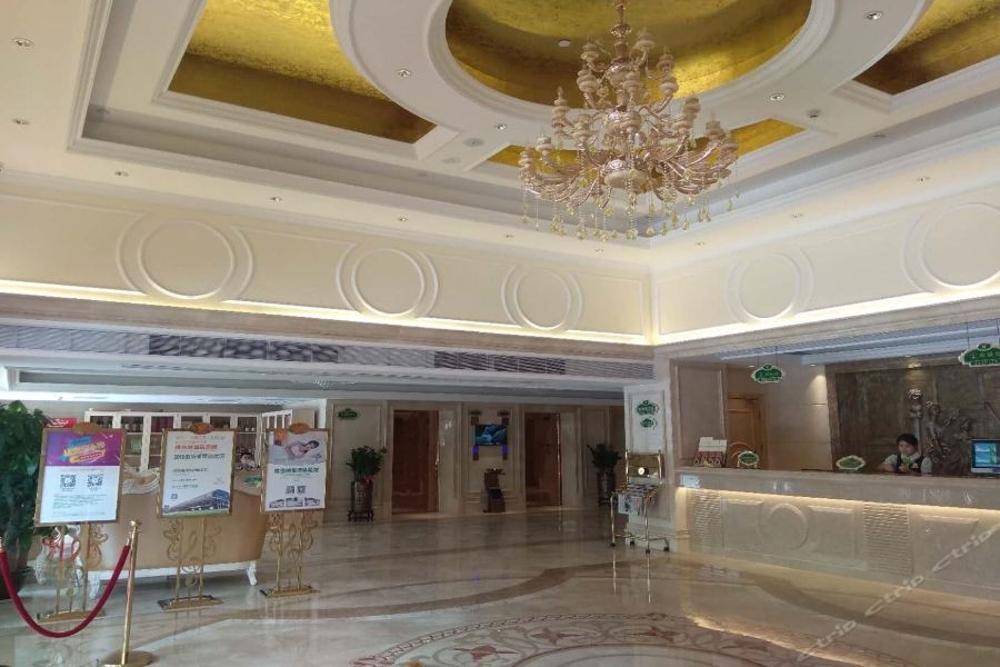 Vienna Hotel (Shenzhen Baifu City) 32/47
