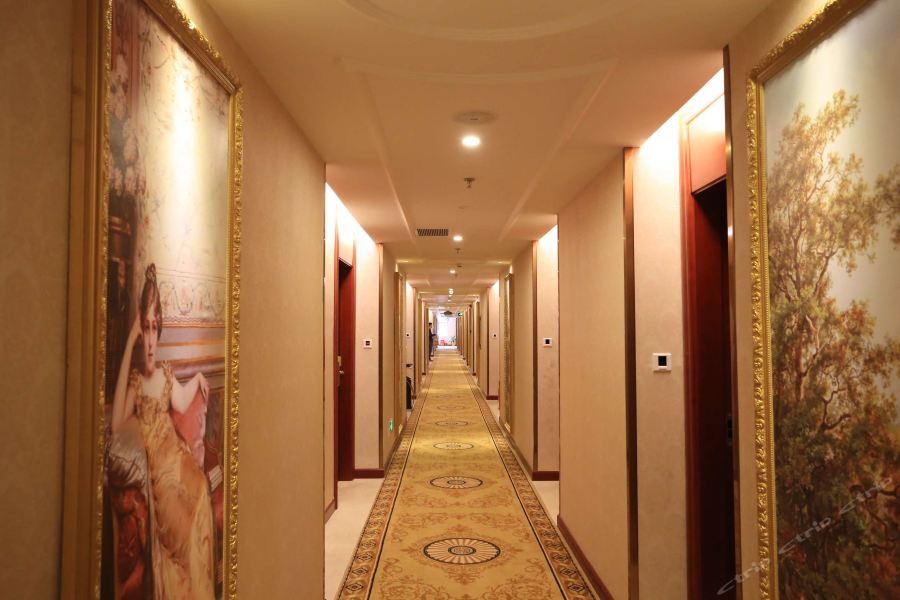 Vienna Hotel (Shenzhen Bao'an Xin'an) 31/54