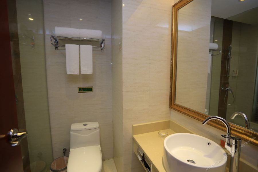 Vienna Hotel (Shenzhen Bao'an Xin'an) 32/54