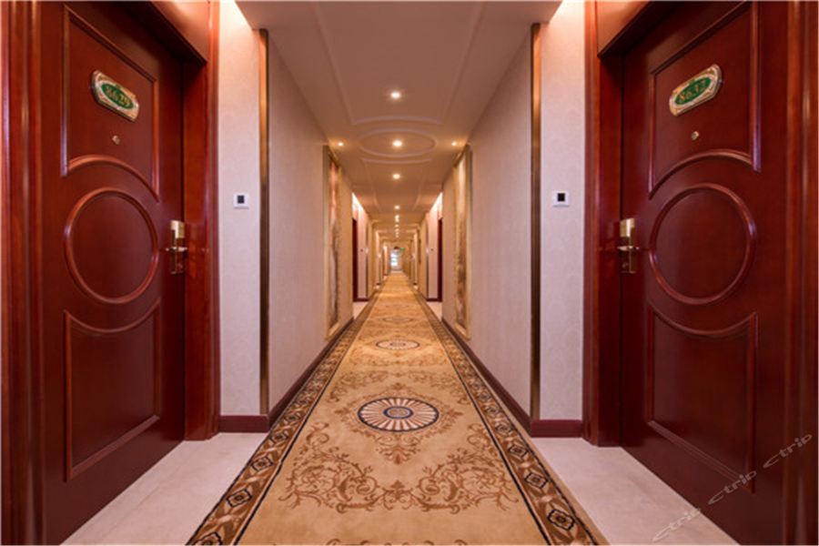 Vienna Hotel (Shenzhen Bao'an Xin'an) 30/54