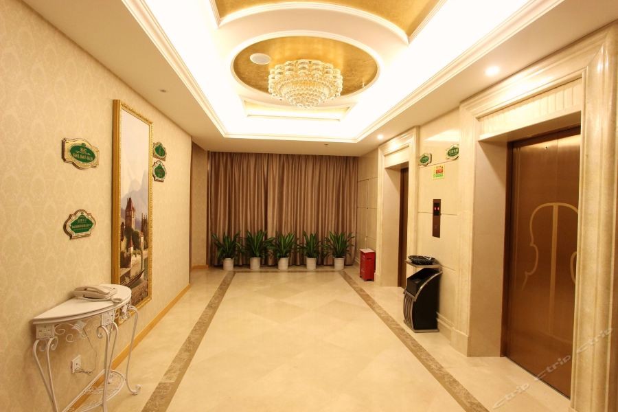 Vienna Classic Hotel (Shenzhen Baoneng City Square) 13/15