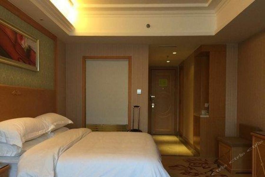 Vienna International Hotel (Wuhan Jiefang Avenue Tongji Medical College) 40/69