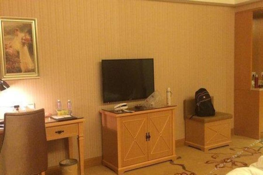 ウィーン インターナショナル ホテル（武漢解放大道同済医学院） 写真2