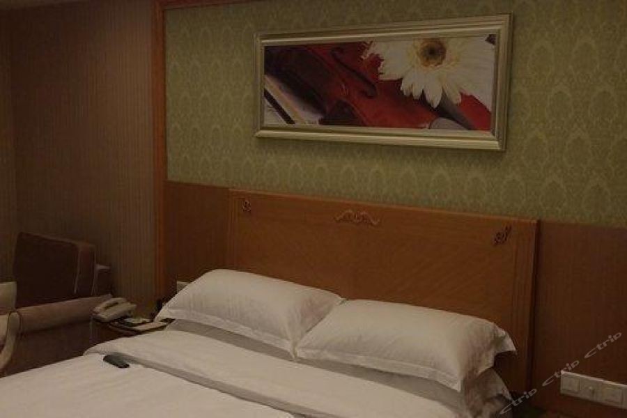 Vienna International Hotel (Wuhan Jiefang Avenue Tongji Medical College) 42/69