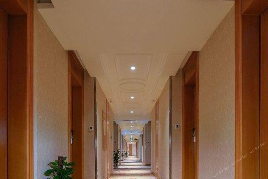 Vienna International Hotel (Wuhan Jiefang Avenue Tongji Medical College) 43/69
