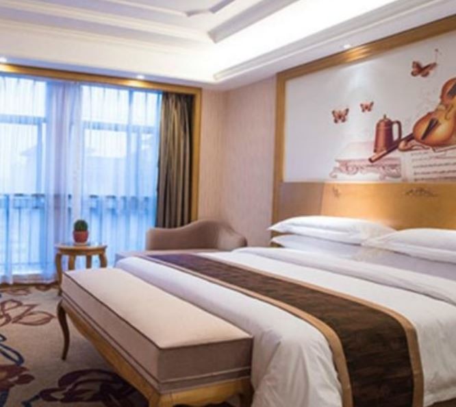 Vienna International Hotel (Shenzhen Guangqiao Road Tianliao) 16/34