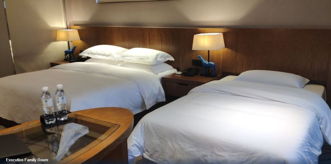 Manhattan Hotel (Shanghai Pujiang) 6/11