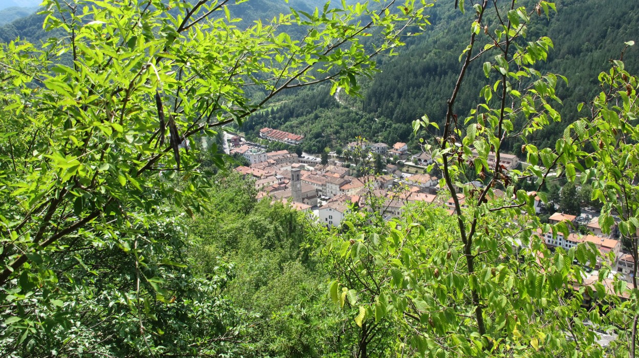 Grand Hotel Terme Roseo 16/61