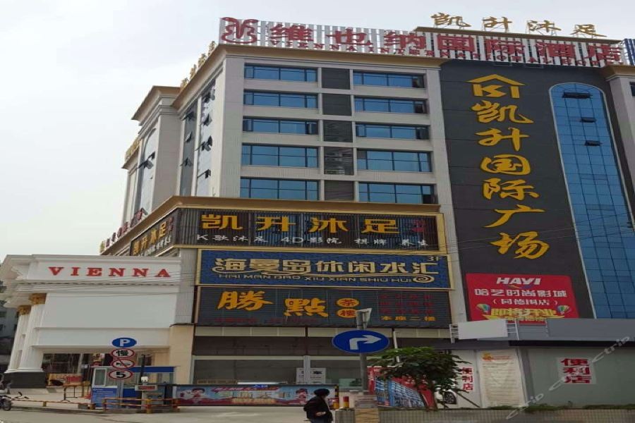 Vienna International Hotel (Guangzhou Tongdewei) photo3