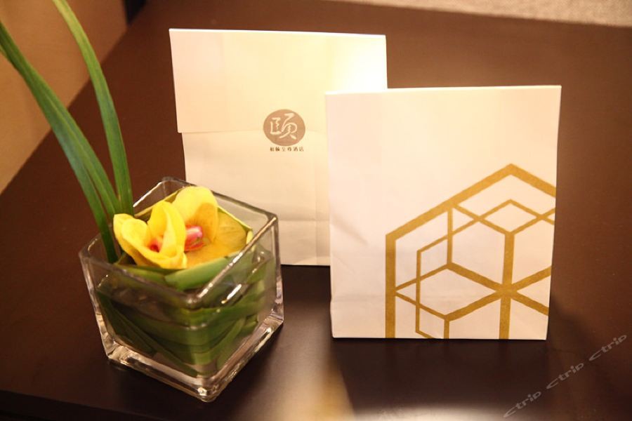 Yitel Premium 4/24