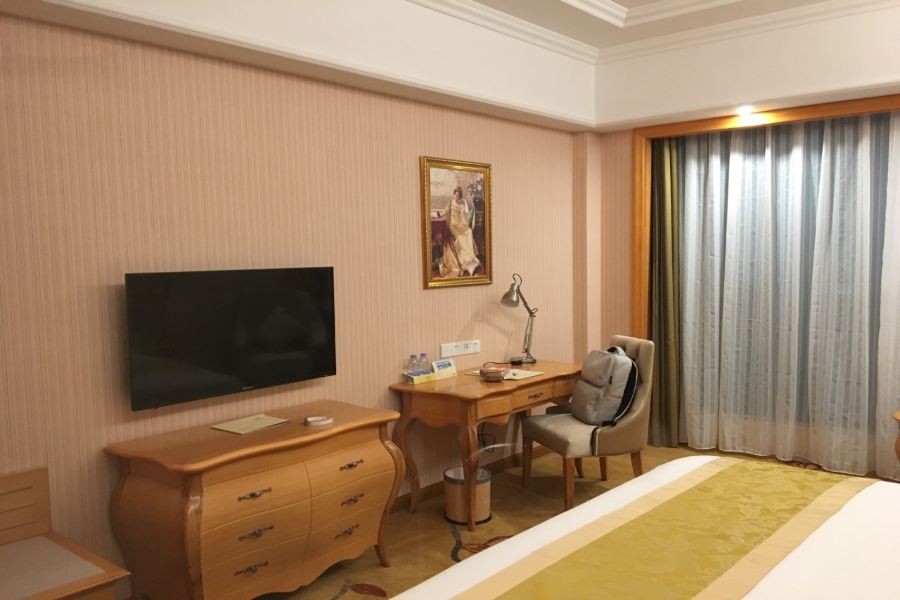 Vienna International Hotel (Maoming High-speed Railway Station) 27/57