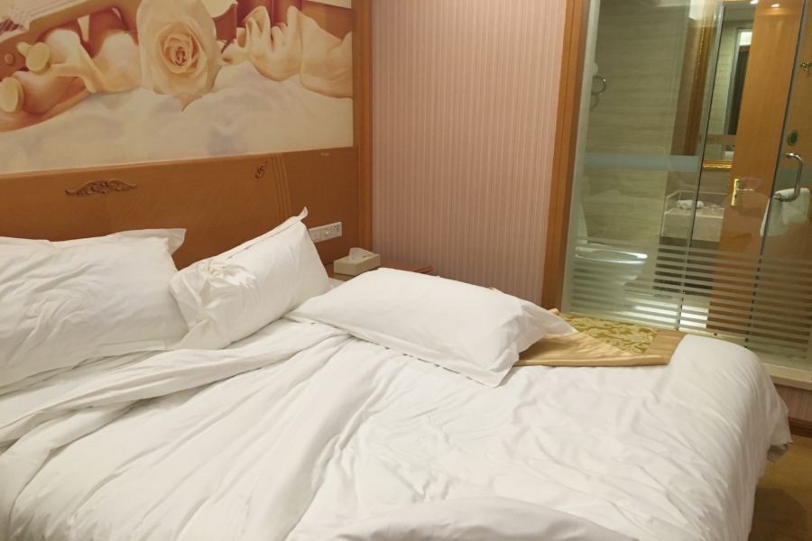 Vienna International Hotel (Maoming High-speed Railway Station) 22/57