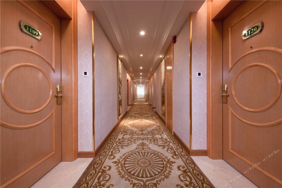 Vienna International Hotel (Maoming High-speed Railway Station) 28/57