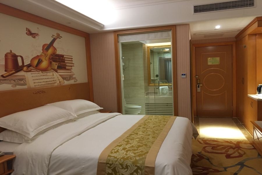 Vienna International Hotel (Maoming High-speed Railway Station) 23/57