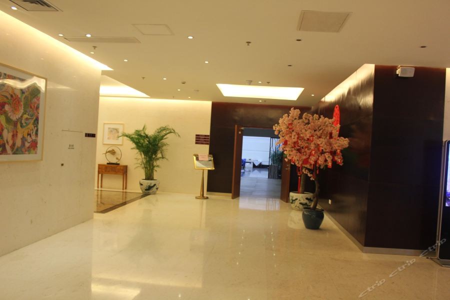 Yitel (Shanghai Jinqiao) 40/58