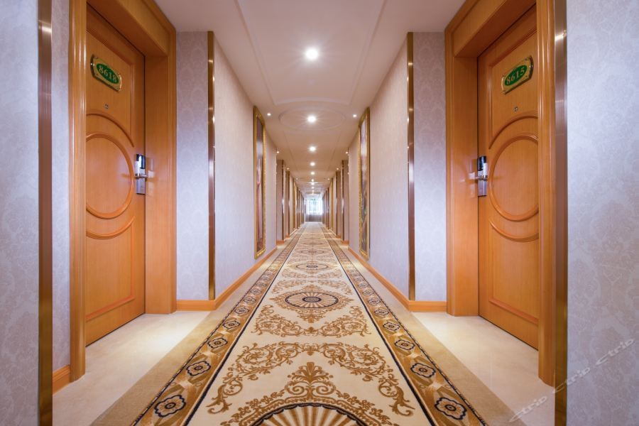 Vienna Hotel (Shenzhen Longhua Dalang Clothing Base) 44/54