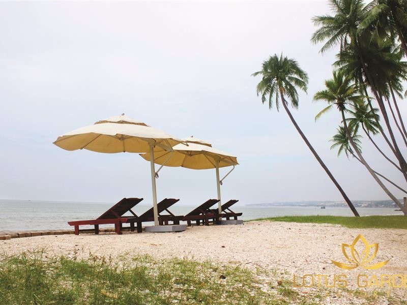 Lotus Garden Resort 21/55