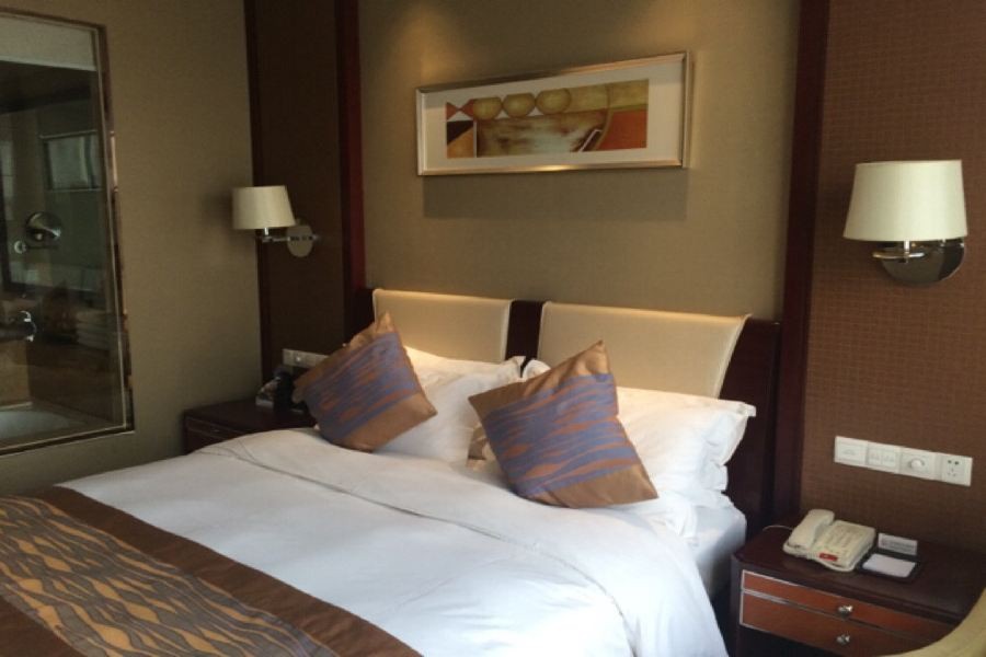 Zhongwei International Holiday Hotel 10/49