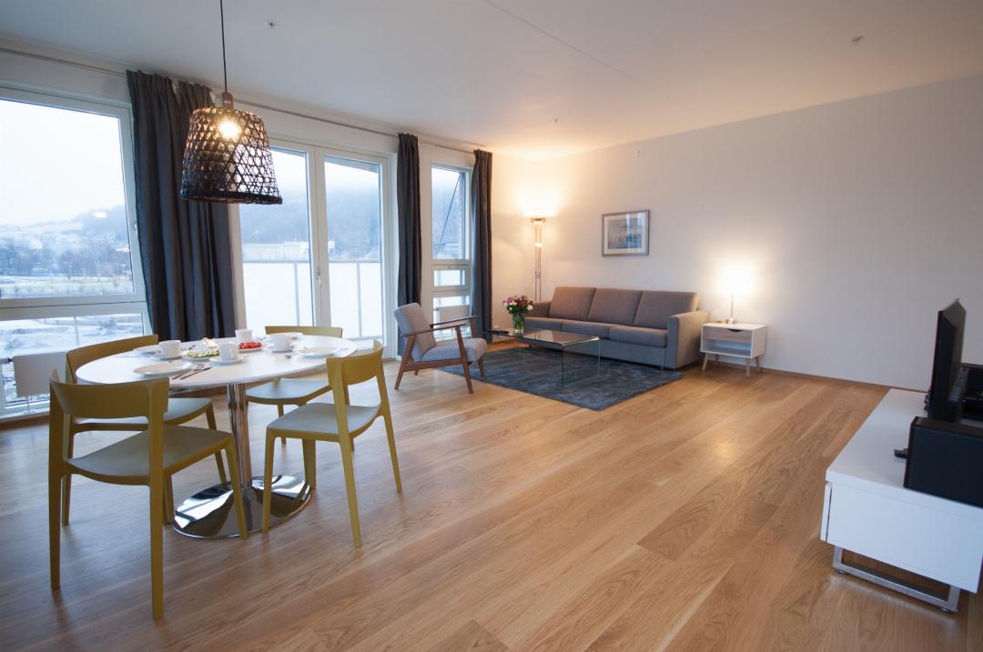Sorenga Two Bedrooms، Bjorvika Apartments Opera Area 22/25