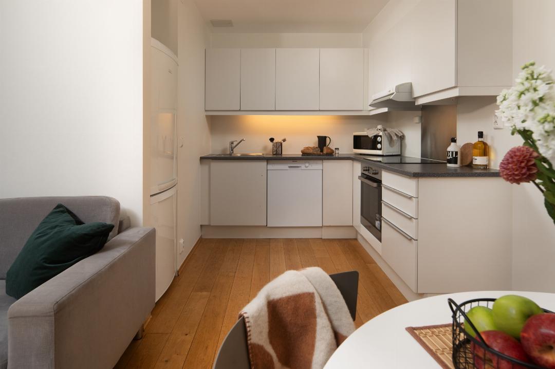 Sorenga Two Bedrooms، Bjorvika Apartments Opera Area 5/25