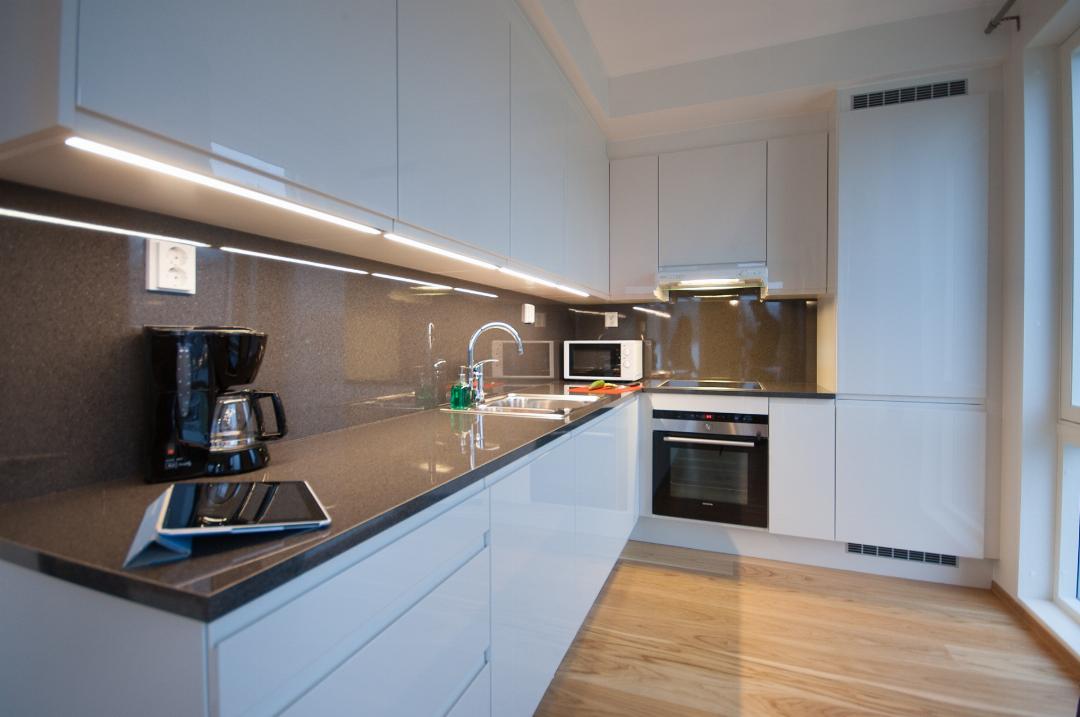 Sorenga Two Bedrooms، Bjorvika Apartments Opera Area 23/25