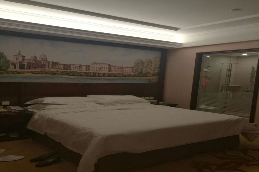 Vienna Hotel (Shenzhen Longzhu) 28/62