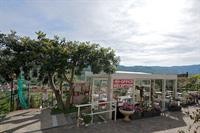 Villa Giada Resort 19/100