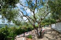 Villa Giada Resort 34/100