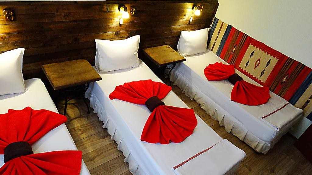 Hotel Simona Complex Sofia 12/49