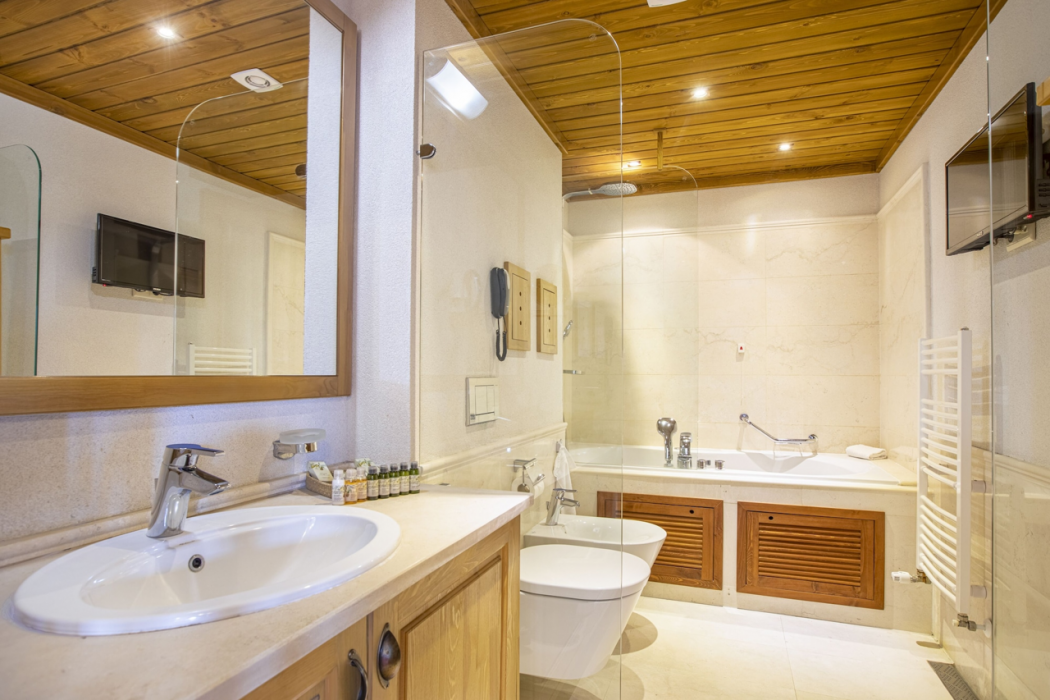 Pirin Golf Hotel & Spa 16/75