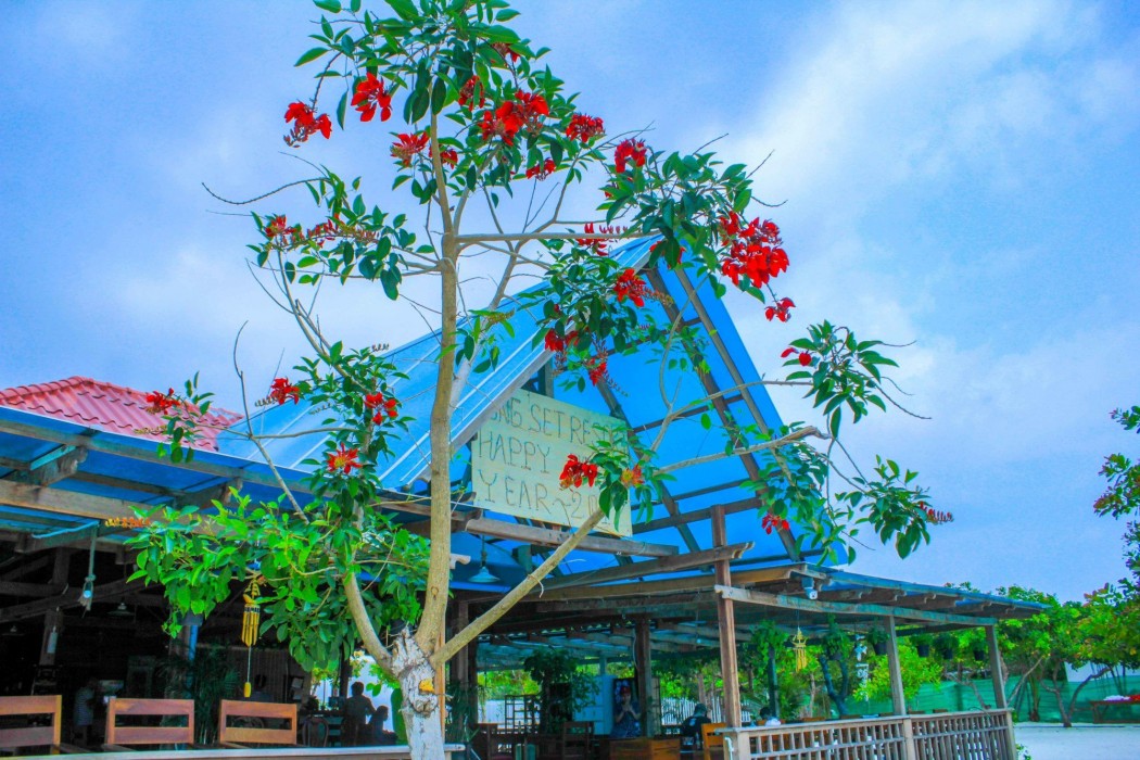 Long Set Resort 50/100