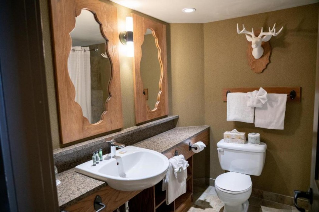 Banff Caribou Lodge & Spa 25/69