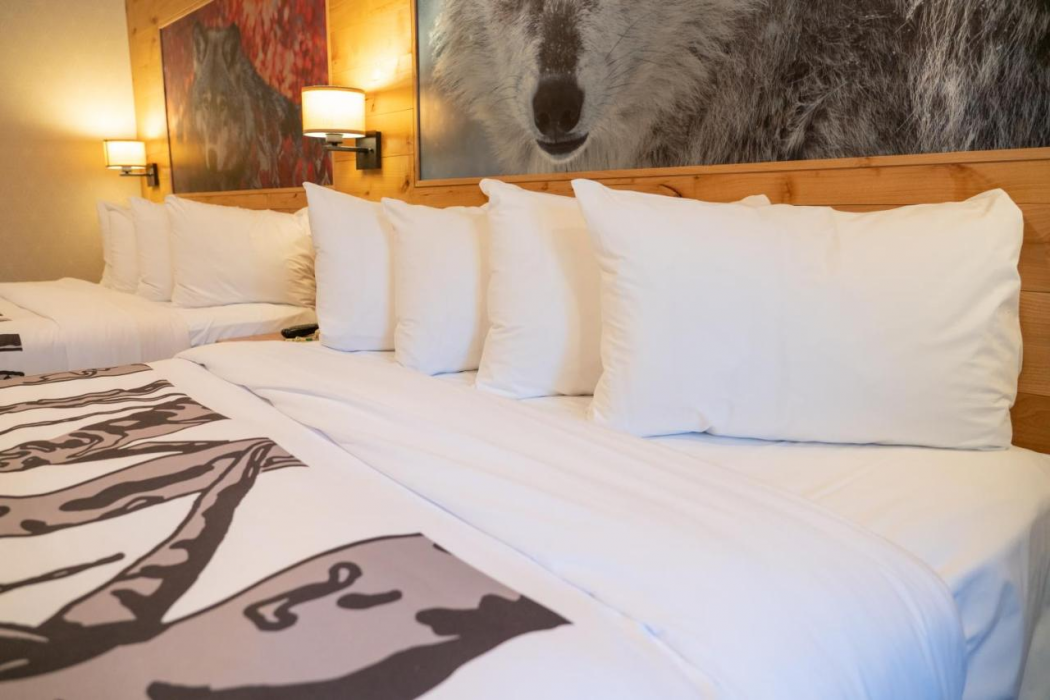 Banff Rocky Mountain Resort 18/63