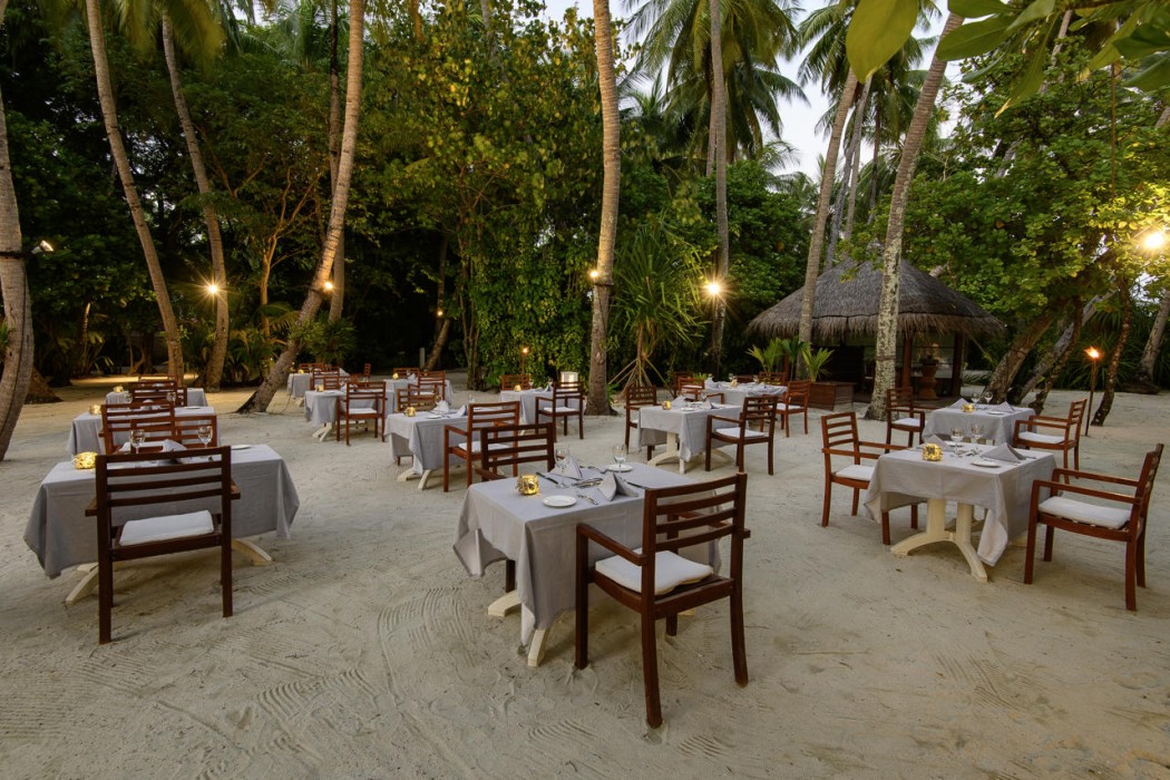 Diamonds Thudufushi Beach & Water Villas 24/44
