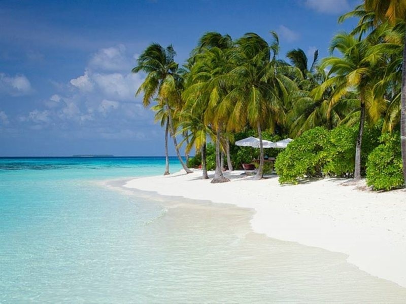 Mirihi Island Resort, Male 17/56